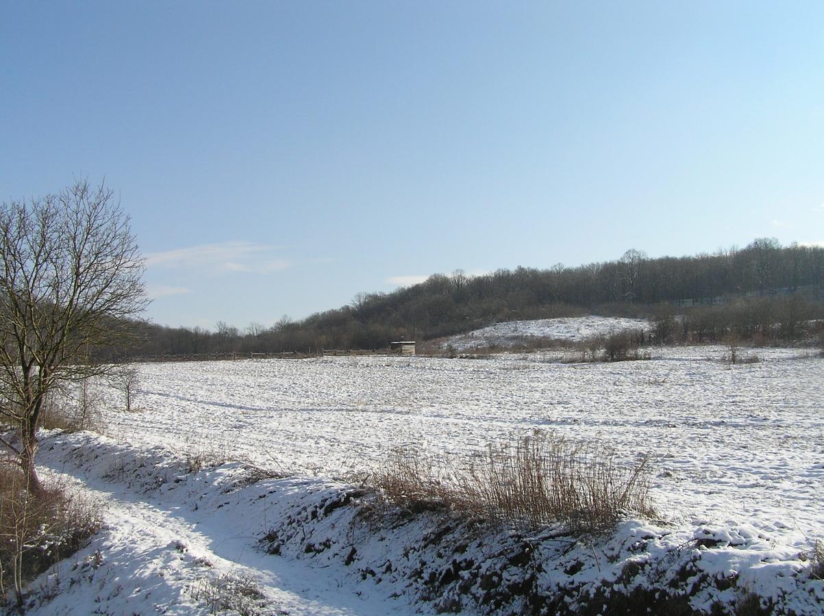 Kovácsszénája Vendégház Exterior foto